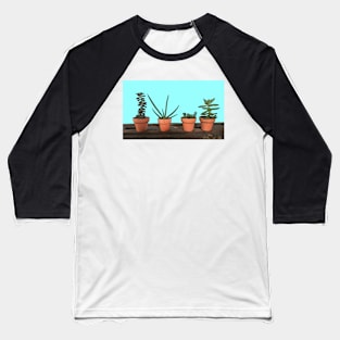 Succulents in Terra Cotta Baseball T-Shirt